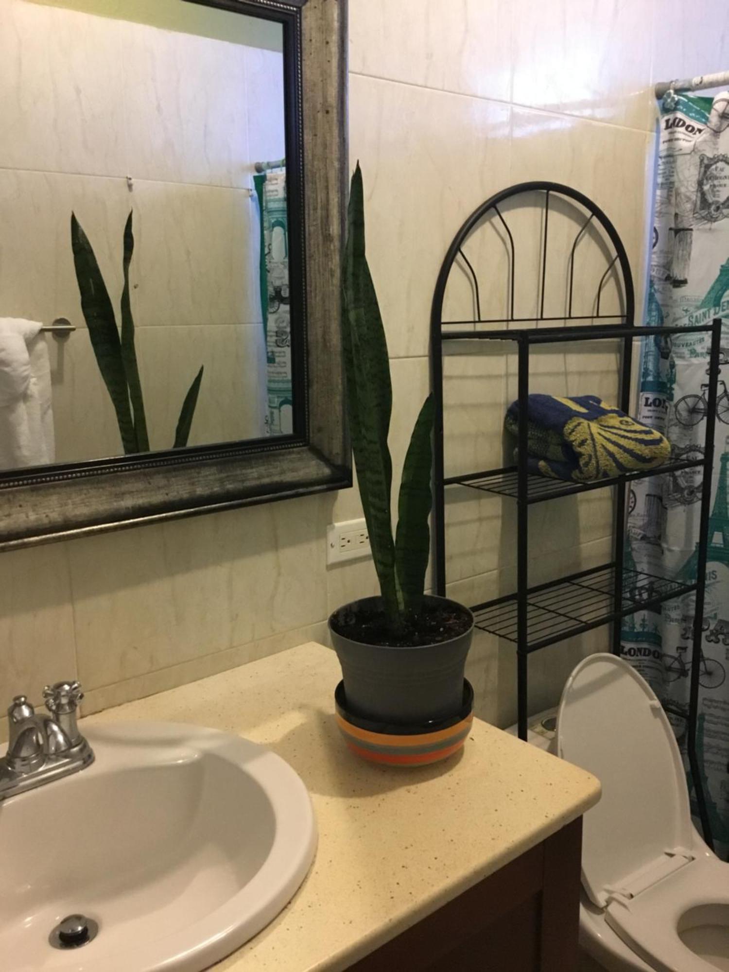 Abigail'S Spectacular 2 Bedrooms-Entire Apartment Wesley Will 외부 사진